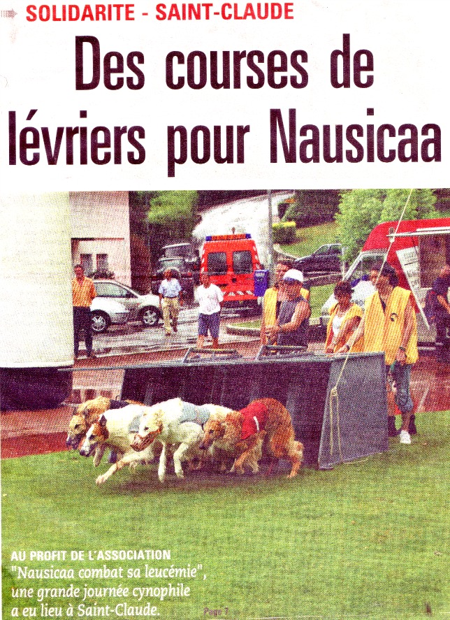 028 COURSE DE LÉVRIERS 