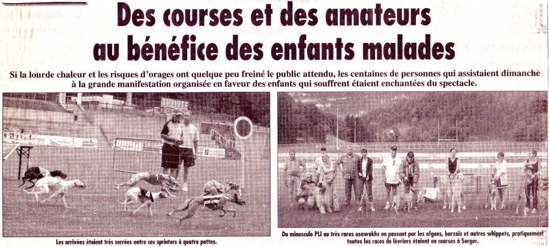 030 COURSE DE LÉVRIERS 
